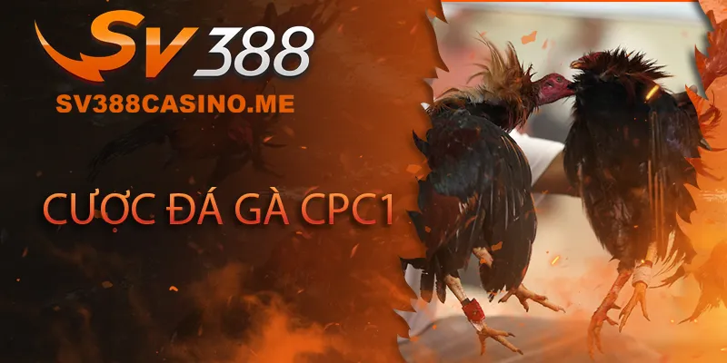 Đá gà CPC1