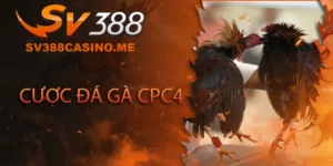 Đá gà CPC4