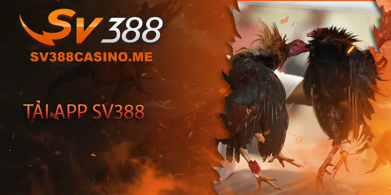 Tải app SV388